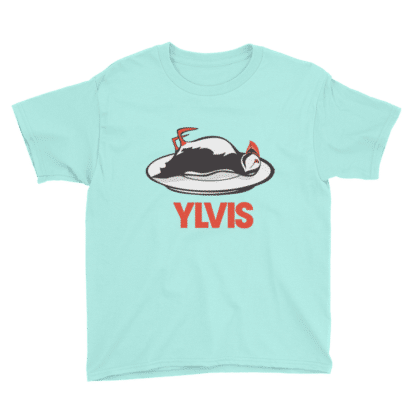 t shirt bird ylvis aqua