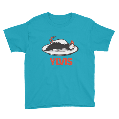 t shirt bird ylvis aqua